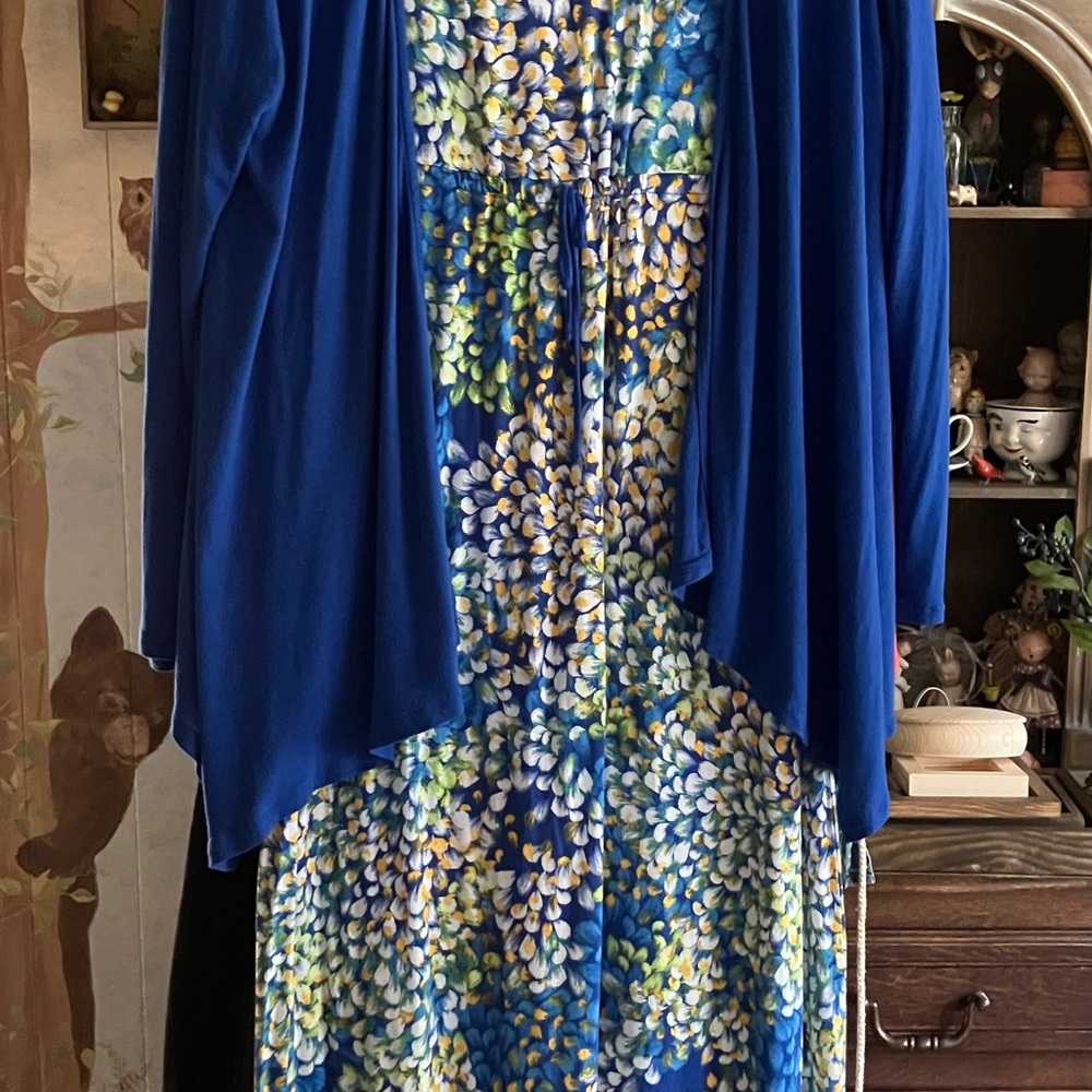 Midnight by Carole Hochman Blue and White Floral Dress